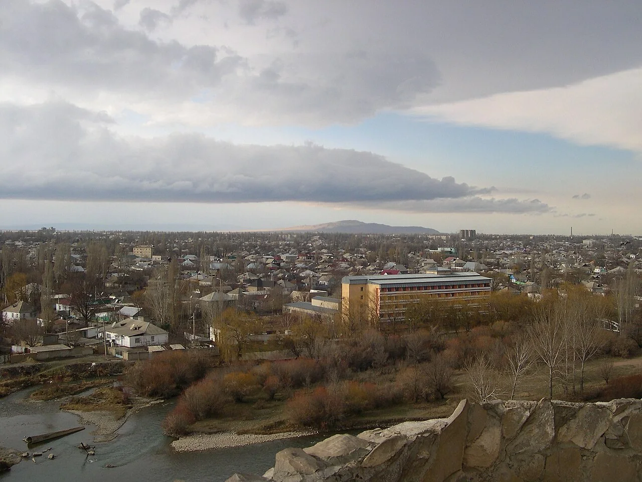 View_of_Taraz, illustrating the market context for this Central Asia procurement guide.