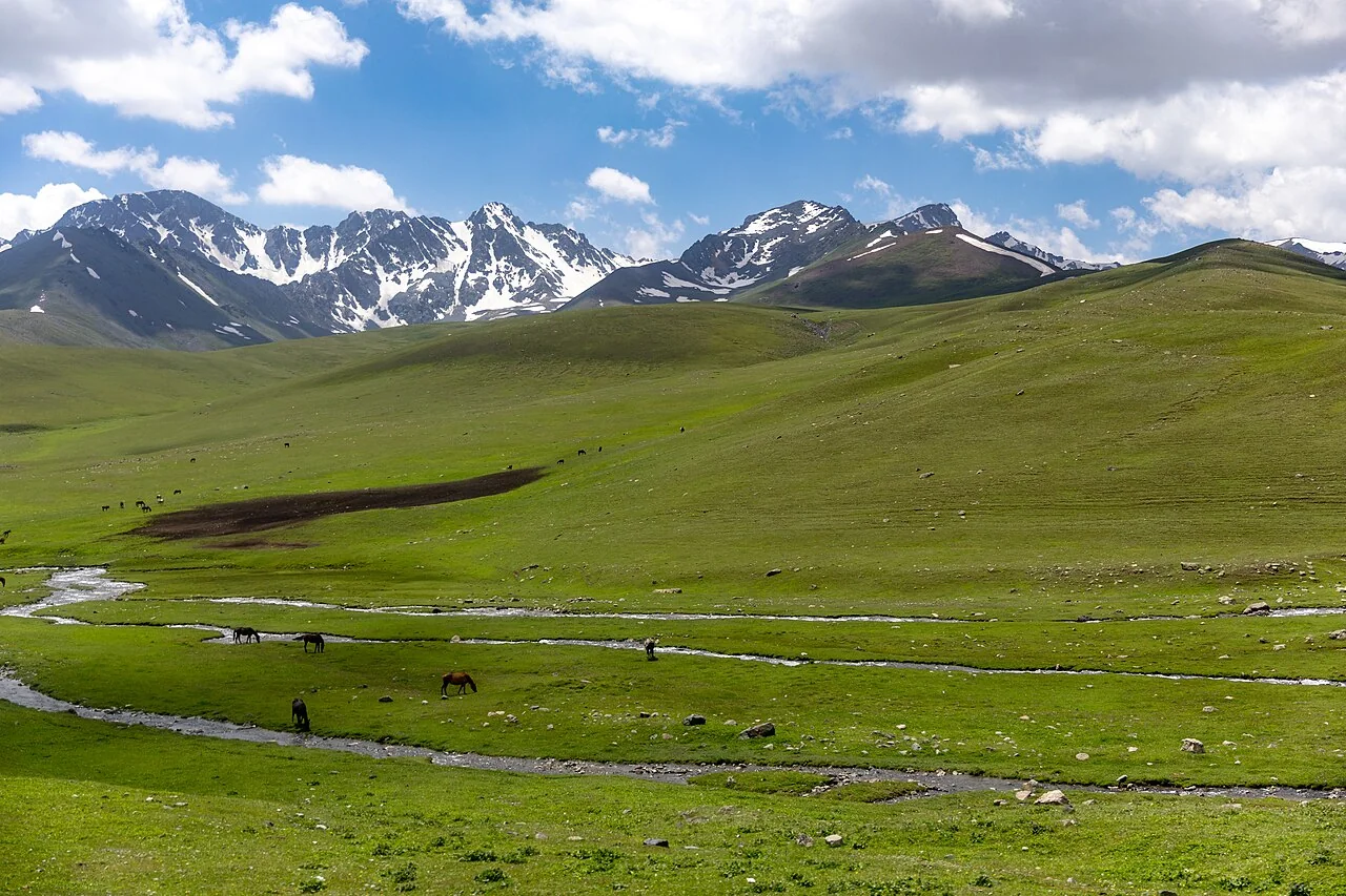 Ala-Bel_pass,_Kyrgyzstan_(43780867434), illustrating the market context for this Central Asia procurement guide.
