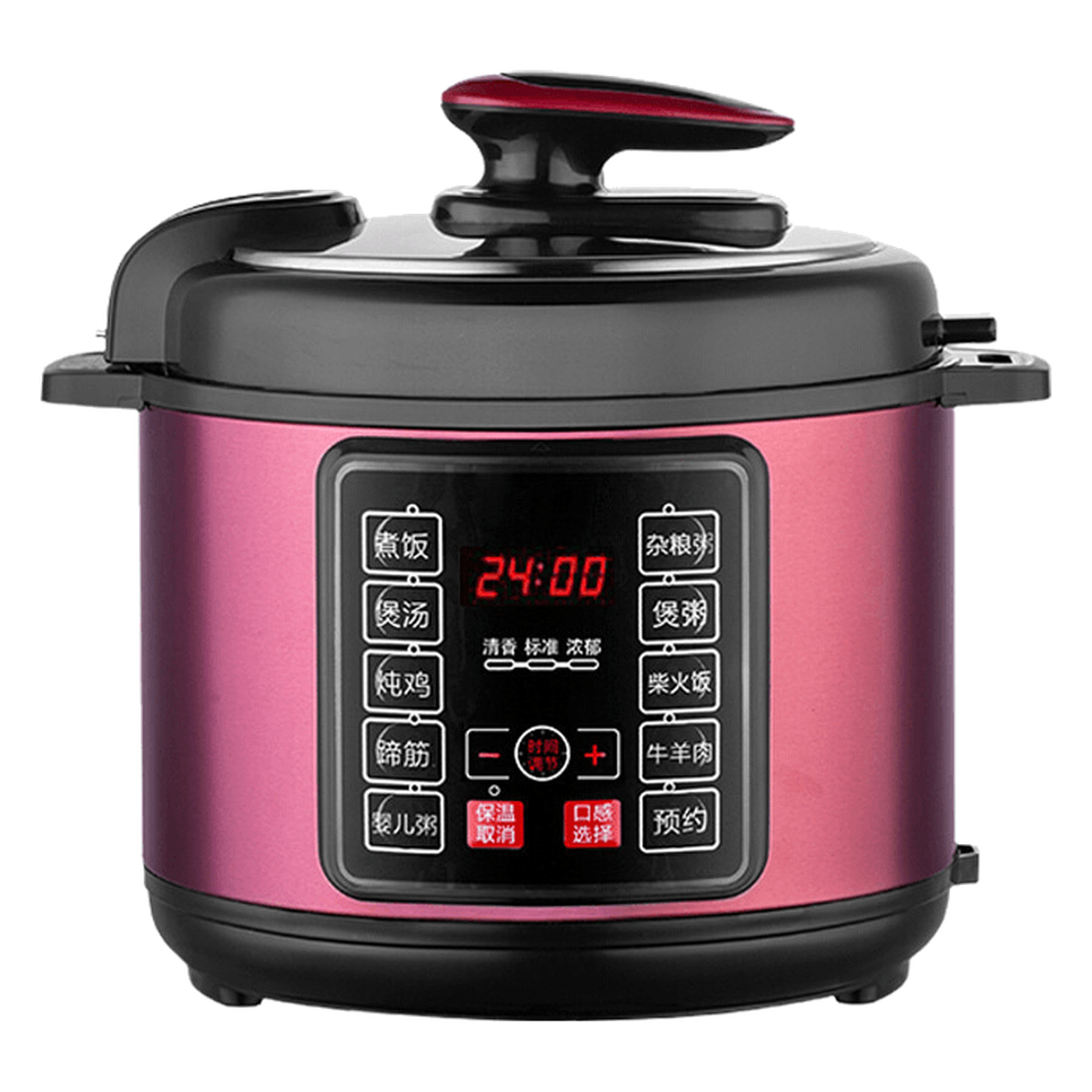 Digital Electric Pressure Cooker