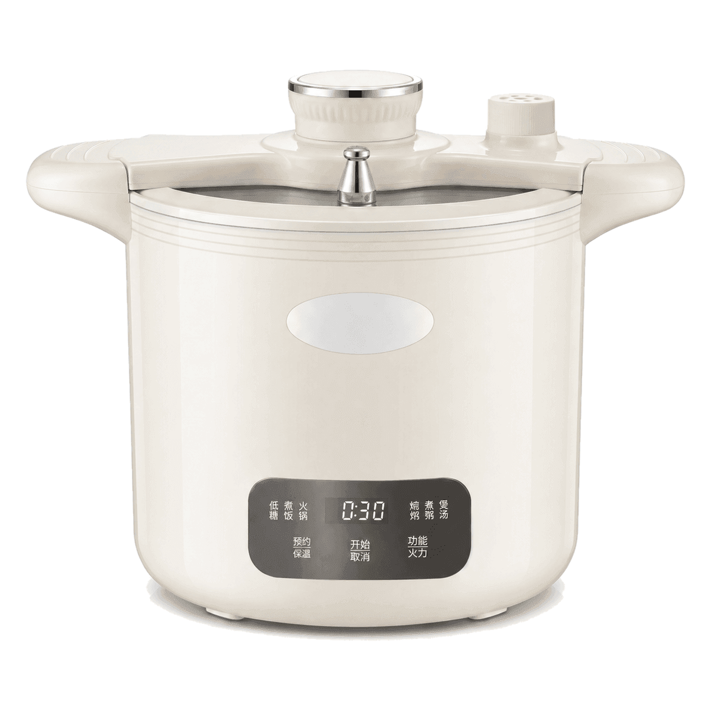 Programmable Rice Cooker