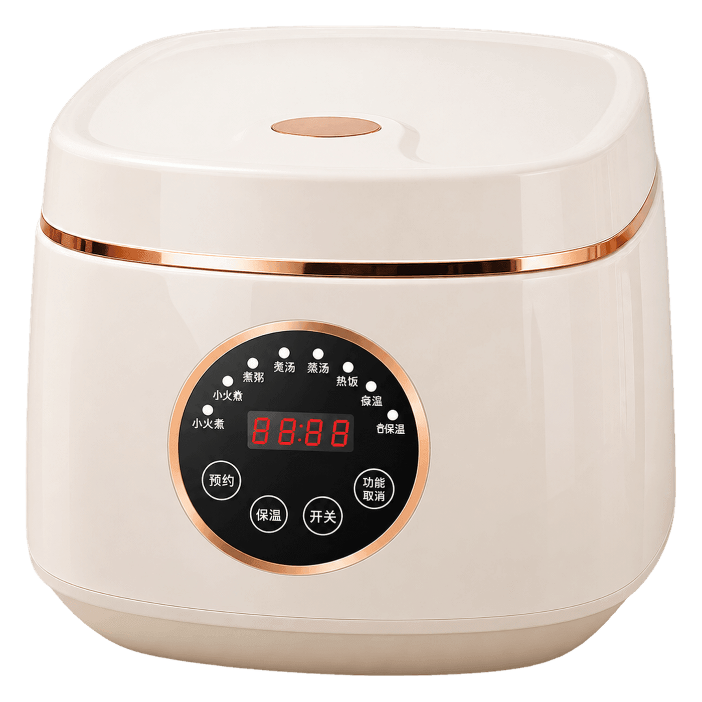 Voice-Control Rice Cooker